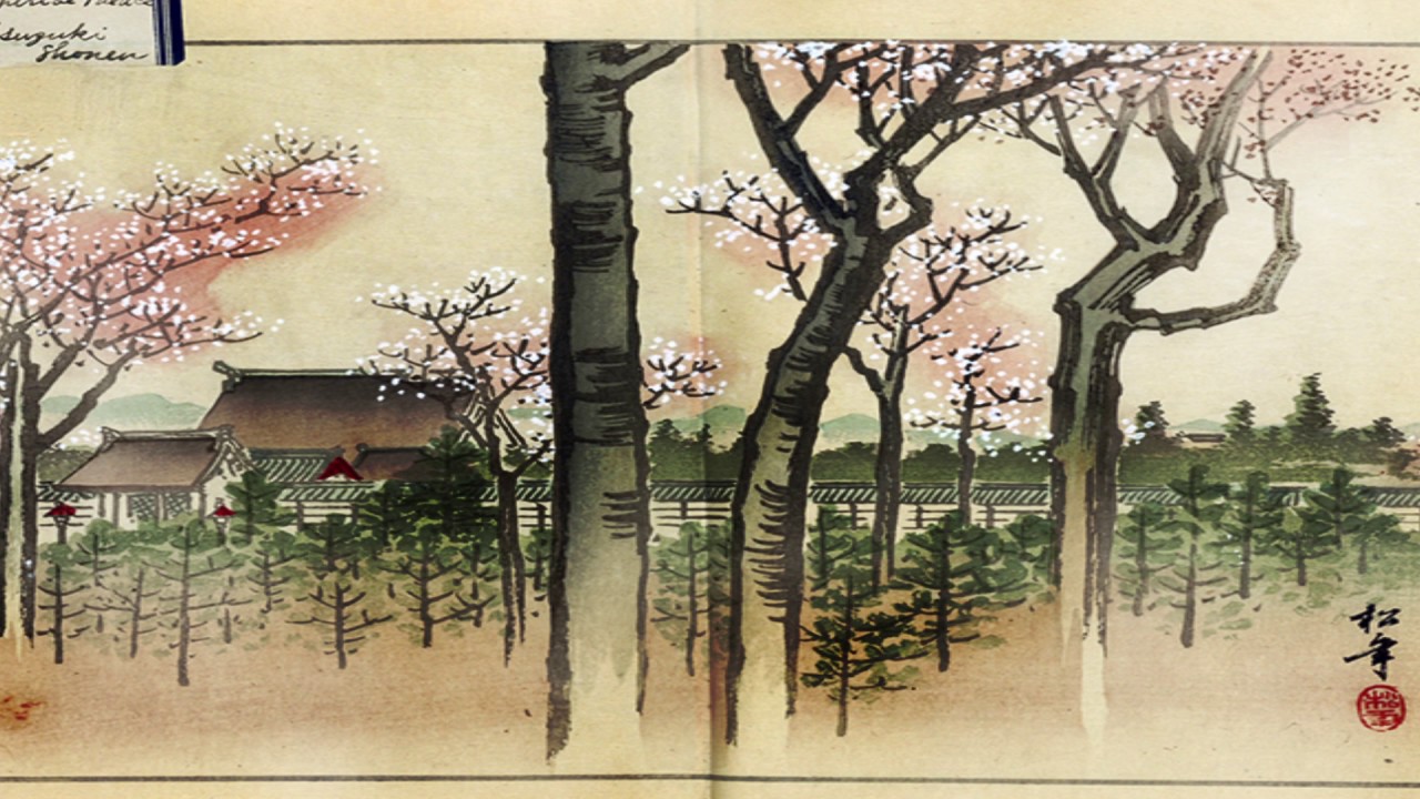 David Chief - them trees (beattape)