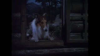 The Painted Hills (A.k.a) Lassie's Adventures In The Goldrush (1951) Film: Western/Adventure
