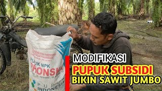 Pupuk subsidi serasa pupuk mahal Untuk Kelapa sawit