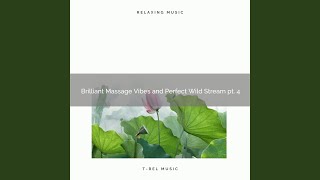 Download Lagu Roots of Zen with Soft Music and Shimmering Water pt. 1 Download Lagu Roots of Zen with Soft Music and Shimmering Water pt. 1