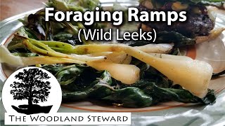 Foraging Ramps (Wild Leeks) – Allium tricoccum May 5, 2020