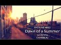 【初音ミク】Dawn of a Summer