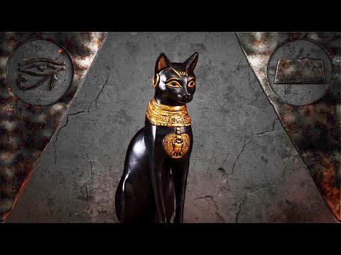Video: Evidencia Reciente Muestra Que Los Antiguos Egipcios Eran Amantes Acérrimos De Los Gatos