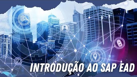 Saiba mais sobre Programas e Funções no SAP | Introdução ao SAP