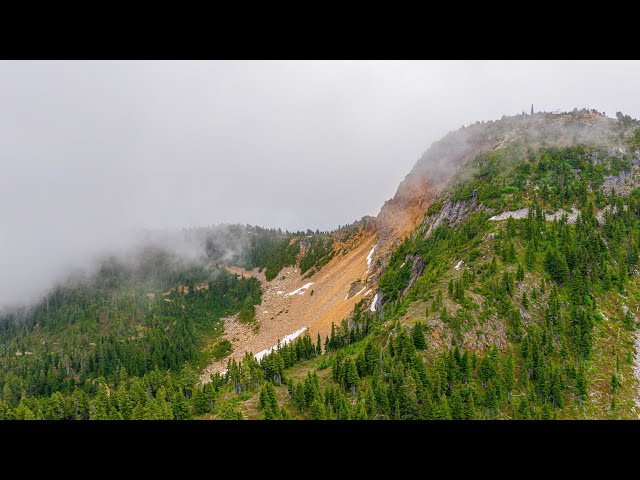 Downhill biking on HWY 19 Blue Run | Mount Washington - YouTube