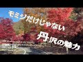 2024 丹沢の紅葉をお届けいたします(≧◇≦)