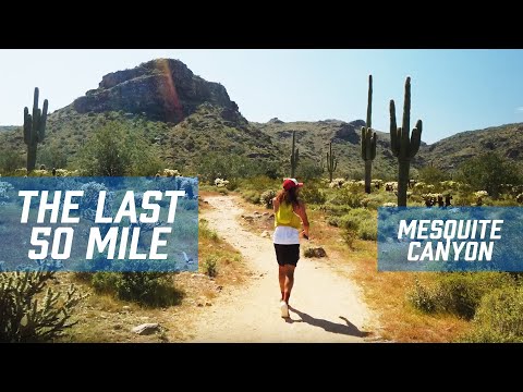 Video: Kako Načrtovati Povratno Potovanje V Kanjon Aravaipa V Arizoni