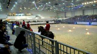 Romacavalli 2010 - Domenica 11 Aprile.avi