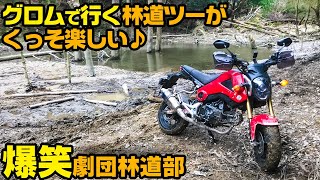 オフロードが楽しいぞ 絶望ヒルアタック グロムで行く林道ツーリングがくっそ楽しい フラット林道ツーリング セロー Ogaチャンネル カルド Youtube