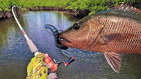 Choosing & Breaking in a New Skip Casting Rod