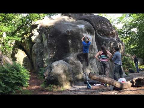 Fontainebleau Bouldering Cuvier