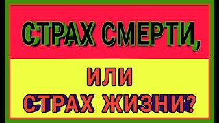 СТРАХ СМЕРТИ. СТРАХ ЖИЗНИ.