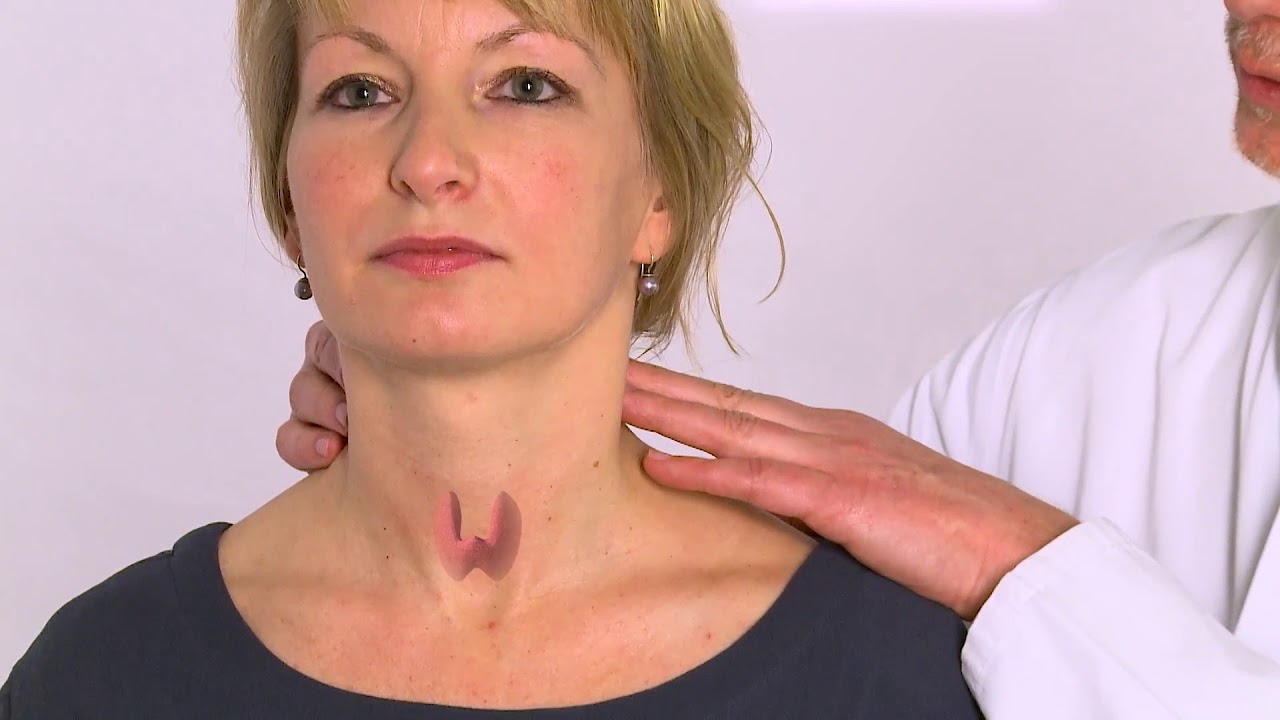 Teilmodul 3: Die Schilddrüse – Diagnostik beim Hausarzt