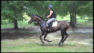 Vitesse XC Schooling | S-Squared Eventing