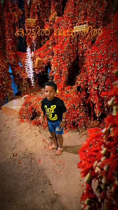 Kattil Mekkathil devi temple|Kollam|Manikettiyambalam|Maniketti Ambalam|Temple| #temple #kollam