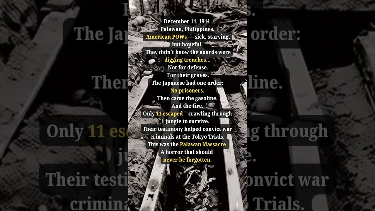 The Palawan Massacre : Deadly Orders 