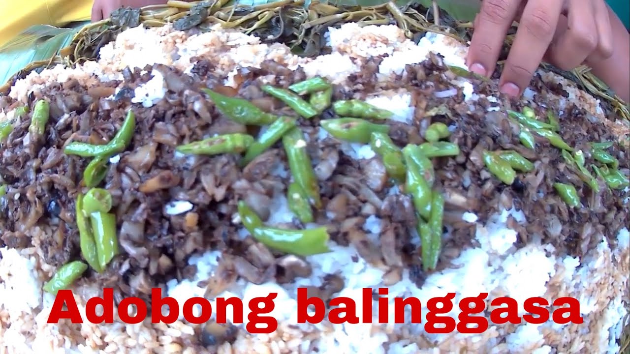 Shell Mukbang Part 2 - Fresh Water Shell Mukbang ( Pick, Cook and Eat) So Yummy - YouTube