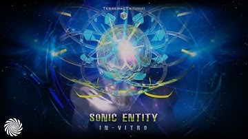 Sonic Entity - In-Vitro