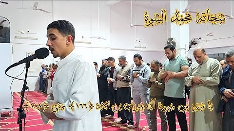 "وَلا تَحسَبَنَّ الَّذينَ قُتِلوا في سَبيلِ اللَّهِ أَمواتًا" || سورة آل عمران || شحاته محمد الشوه