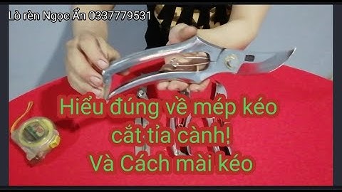 Nhận định đúng về mép kéo cắt tỉa cành và cách mài kéo
