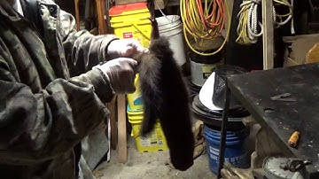 How To Skin a Mink