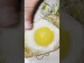 egg half फ्राई healthy breakfast 😋🤞#shortvideo #mycooking