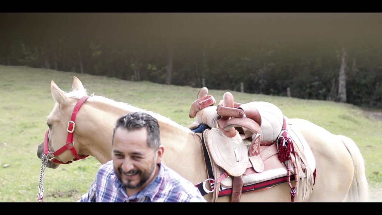 Xv años de Ximena ( Previo )