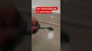 deney ve sonuçları benimle paylaş #sacitkral #muhabbetkuşu #ytdayibenionecikarnolur