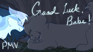 Good Luck, Babe! (PMV)