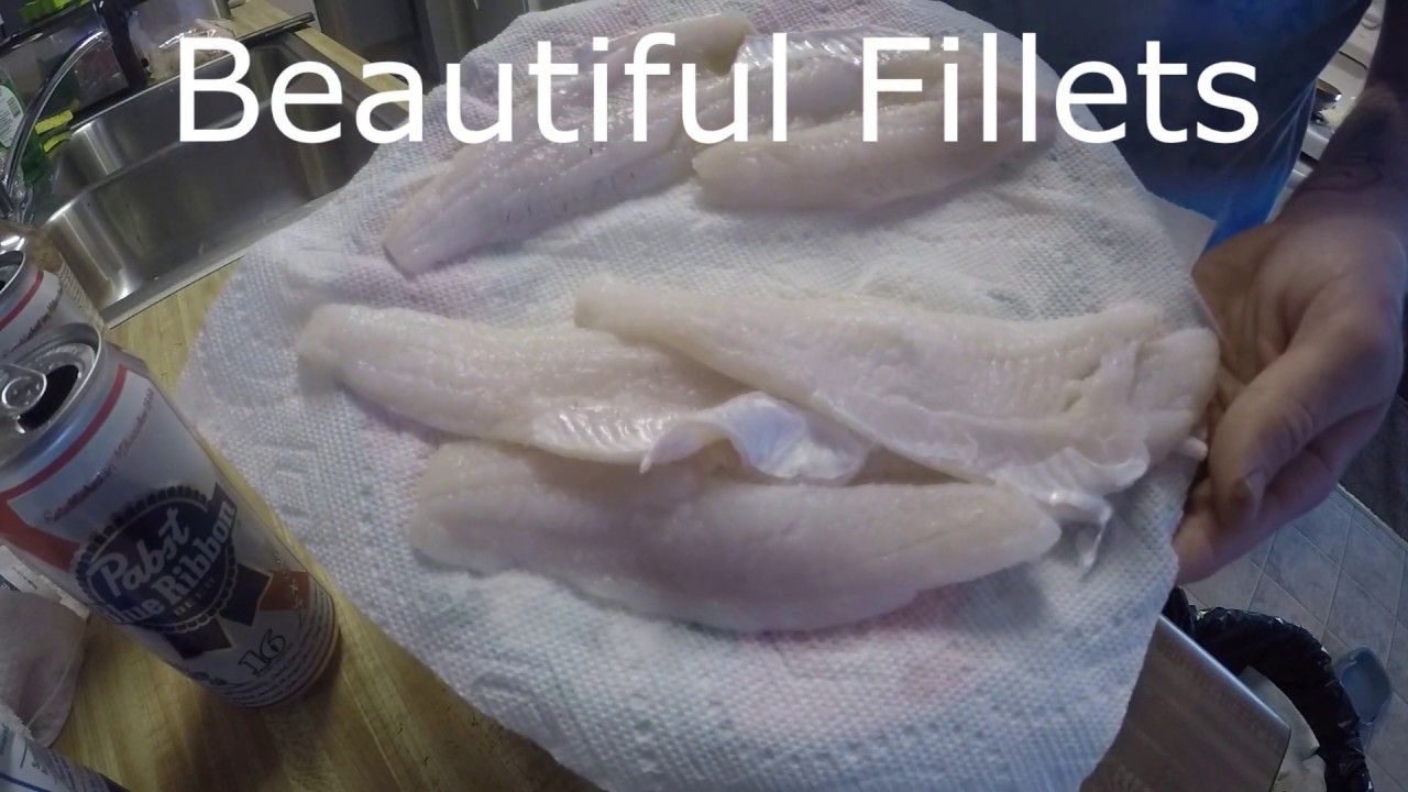 Beer Battered Walleye and Perch (Catch and Cook) YouTube