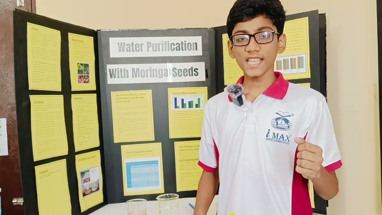 Water Purification With Moringa Seeds