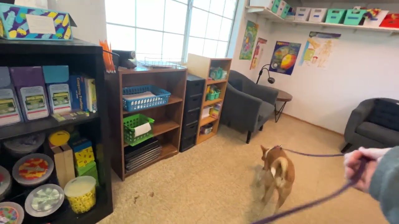 Ford MASTER INTERIOR Sonoran Desert