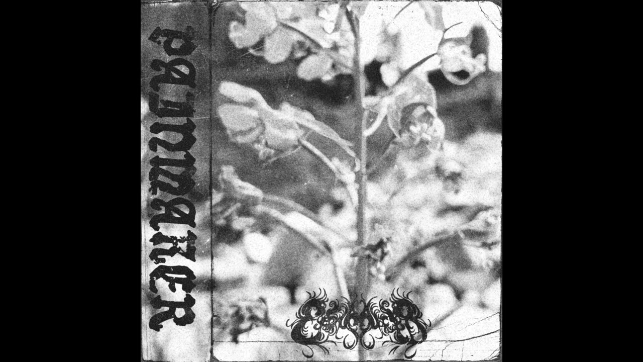 Eyeball Collector (Russia) — Painmaker — 2025 full length