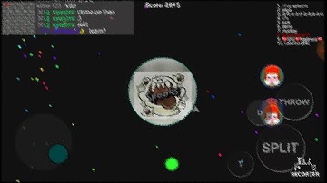 Instant murg| sick popsplit| double split| (blob)