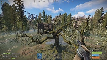 They Raided Our Tree House-Rust