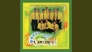 Video thumbnail of "Arturo Jaimes y los Cantantes - Cumbia De Los Cantantes"