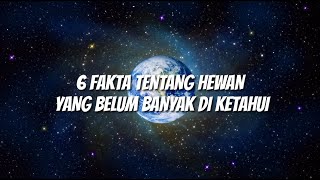 6 FAKTA TENTANG HEWAN YANG BELUM BANYAK DIKETAHUI