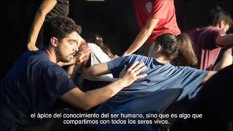 What is the Importance of Embodied Cognition and Movement? (Trailer)