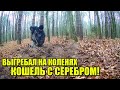 Лесной кошель СРЕДНЕВЕКОВЫХ МОНЕТ! и многое другое!)  Коп 2020