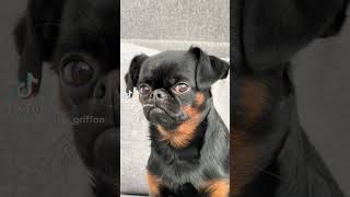 #shorts #pubgmobile #pubg