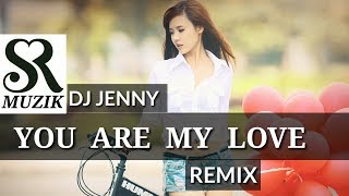 You are My Love (Remix) | DJ Jenny | Partner | Salman Khan, Lara Dutta, Govinda |  | SR MUZIK :