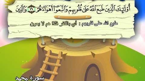 سورة محمد ( المصحف المعلم )