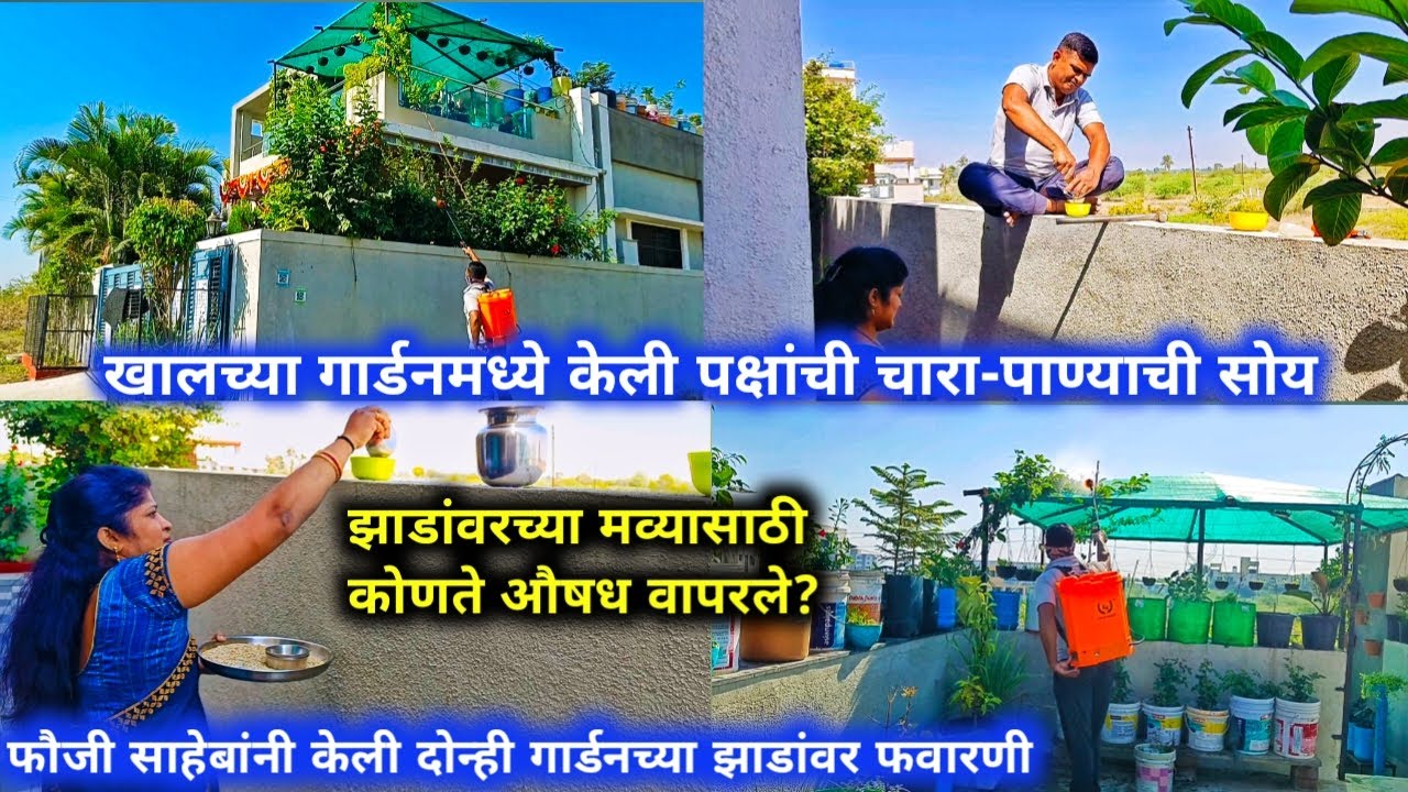 आज केली झाडांवर फवारणी/झाडांवरच्या मव्यासाठी कोणते औषध वापरले? पक्ष्यांची केली चारापाण्याची सोय.