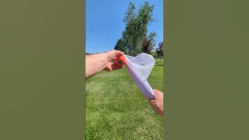 Djubi Slingball Classic!  The perfect summer toy!