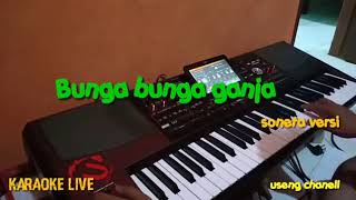 Bunga bunga ganja/karaoke