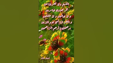 #حالات_واتساب_دينية 🌺لا تردنا خائبين 🌷دعاء مستجاب 🕋مساء الخير 💕أدعية و أذكار ⚘أذكار المساء ❤أحاديث 🌹