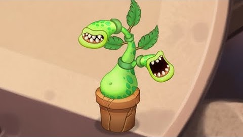 Potbelly | Psychic Island Composer Individual Sounds #2