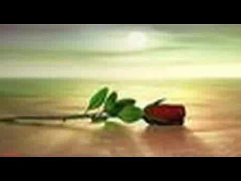 طارق العوض انتي يا كل الاماني