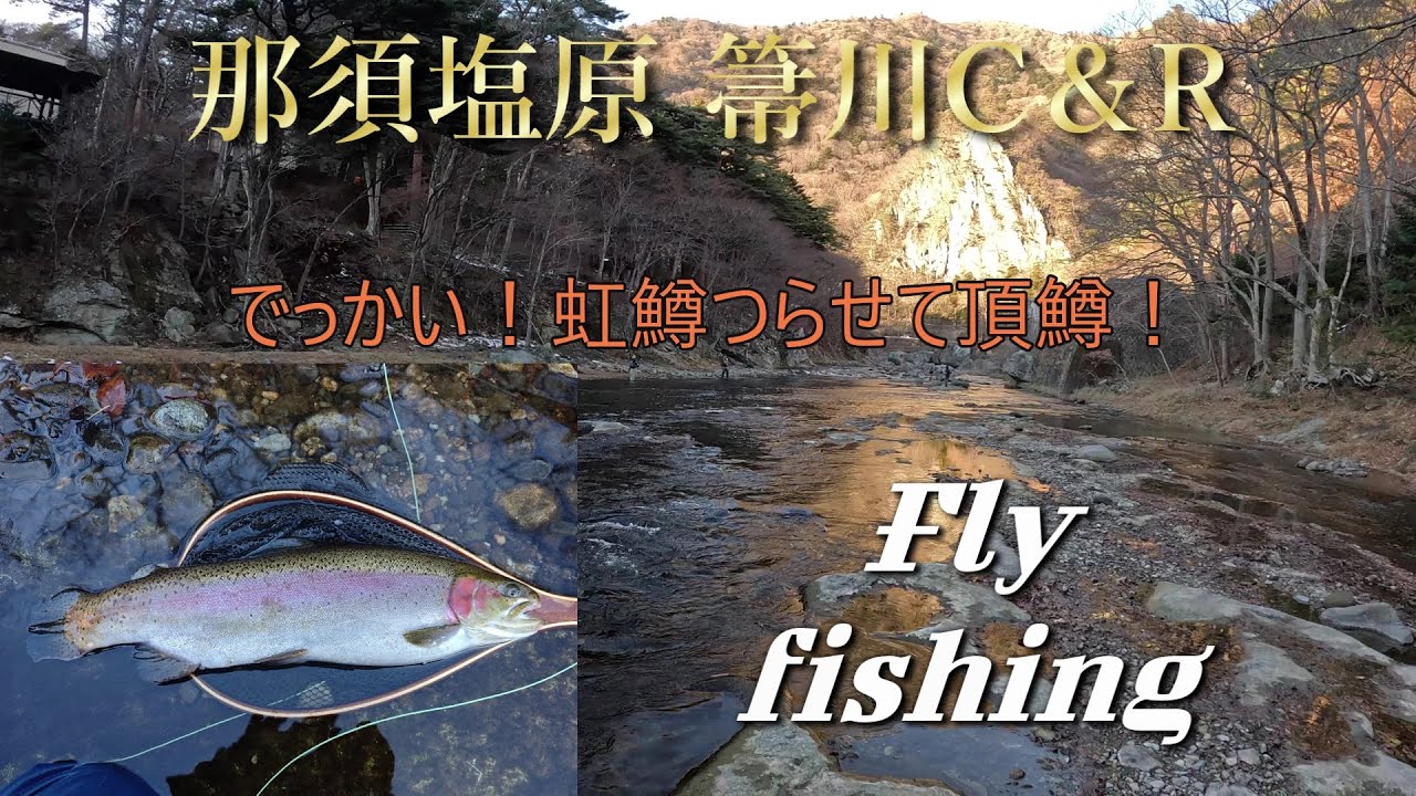 那須塩原 箒川C&R　デッカイ！虹鱒つらせて頂鱒！フライフィッシング
