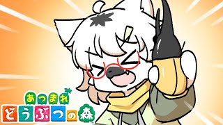 【 あつまれどうぶつの森 】お金無くなったので虫取りやっていきまっしょい！ #105 ～わんりり島シーズン2～【白瀧炬燵/One Lyric】